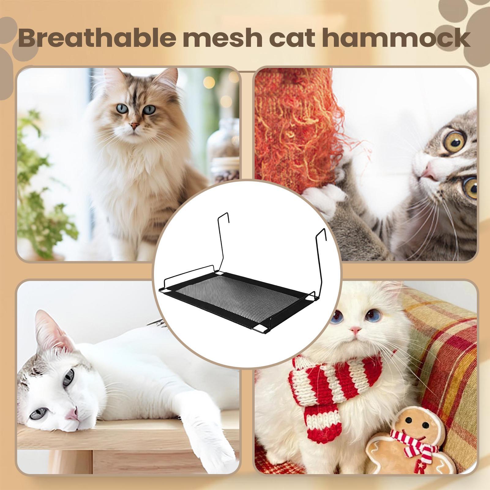 Cat Hammock Bed Metal Frame Co - Cat Window Perch recensione e prezzo