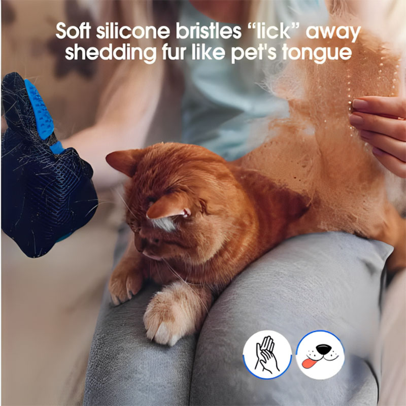 Pet Hair Glove Comb Pet Dog Ca - Pet Supplies Discount recensione e prezzo