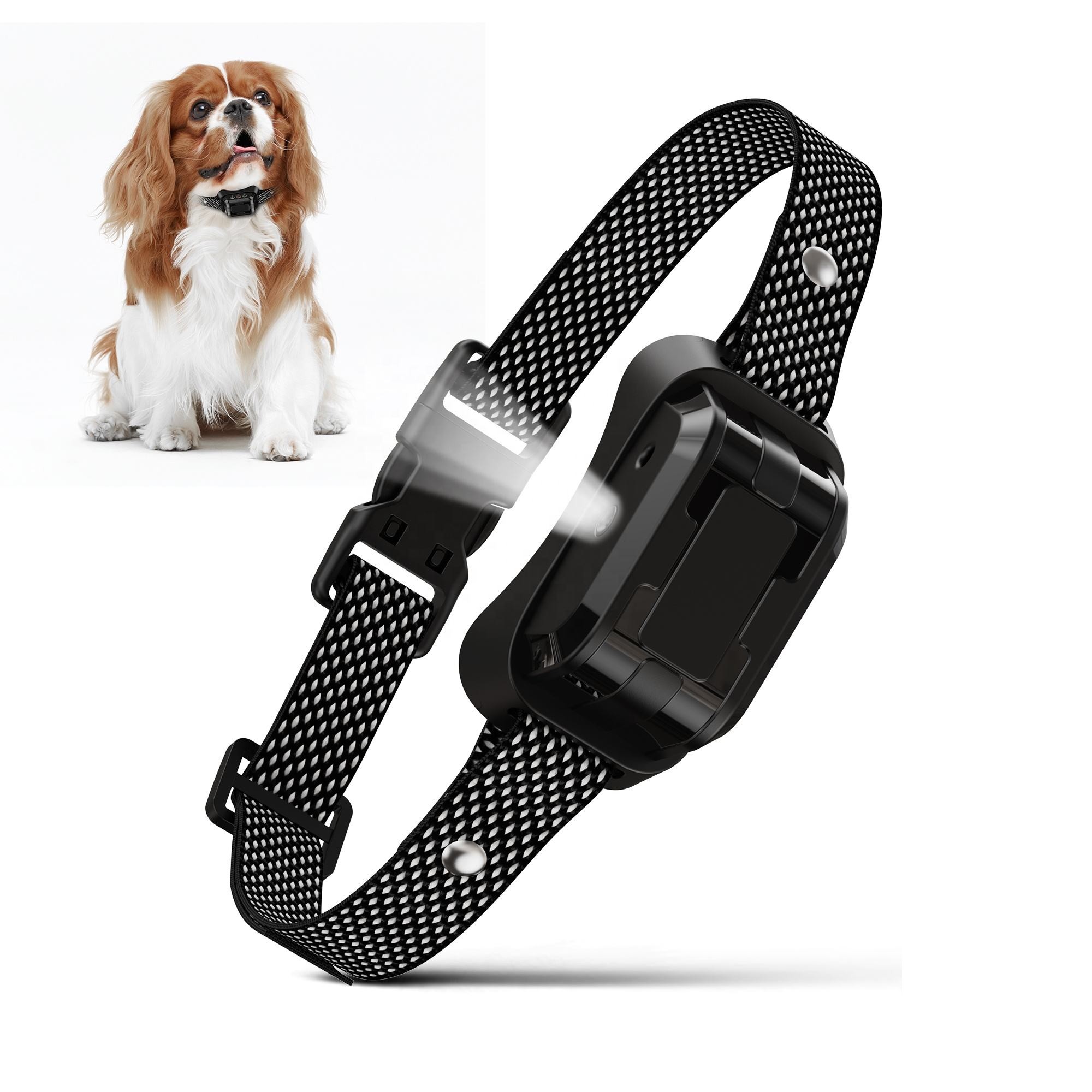 Spray Anti Bark Collar Auto Tr - Pet Cologne Spray recensione e prezzo