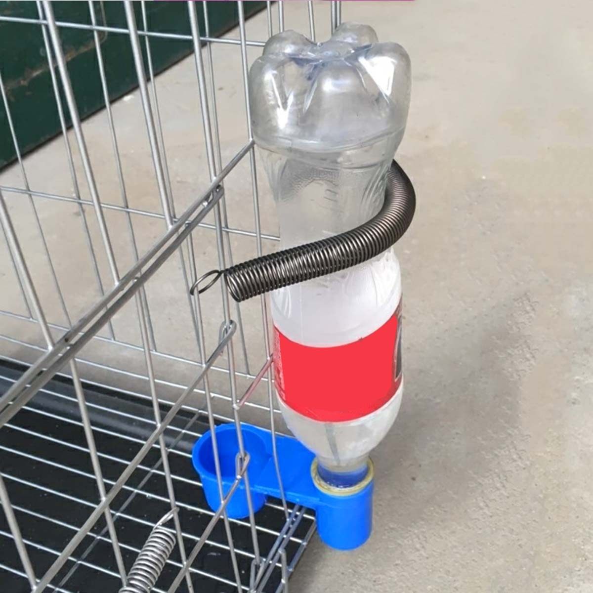 5Pcs Auto Bird Cage Water Cups - Pet Supplies Zoo recensione e prezzo