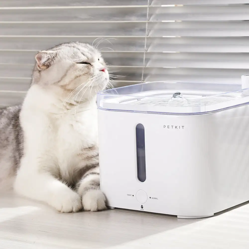 CANBOUN EVERSWEET Series Pet S - Automatic Pet Feeder recensione e prezzo
