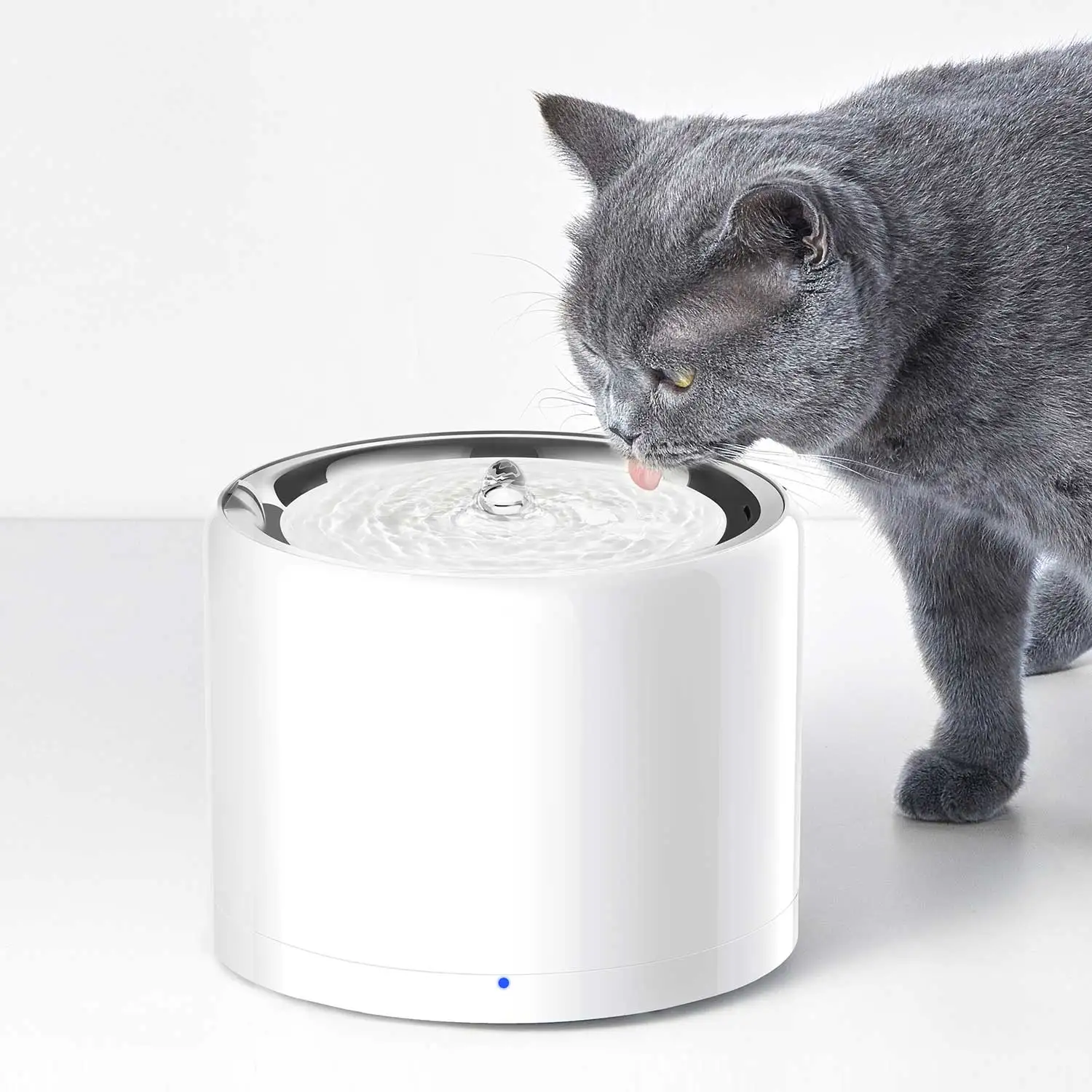 CANBOUN EVERSWEET Series Pet S - Automatic Pet Feeder recensione e prezzo
