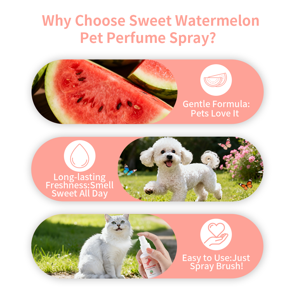 Watermelon Scent Pet Perfume C - Pet Cologne Spray recensione e prezzo