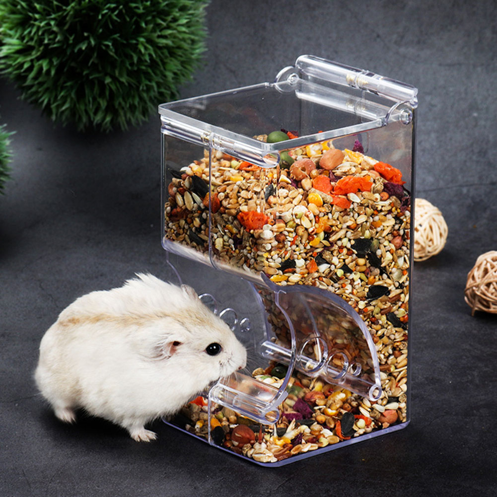  2-1PCS Cute Hamster Samll An - Automatic Pet Feeder recensione e prezzo