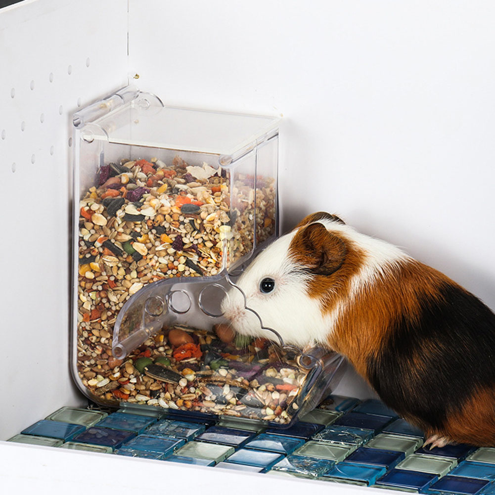  2-1PCS Cute Hamster Samll An - Automatic Pet Feeder recensione e prezzo