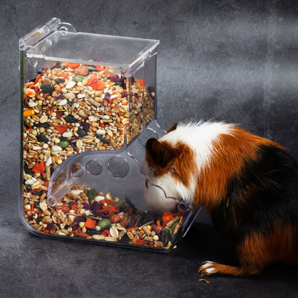  2-1PCS Cute Hamster Samll An - Automatic Pet Feeder recensione e prezzo