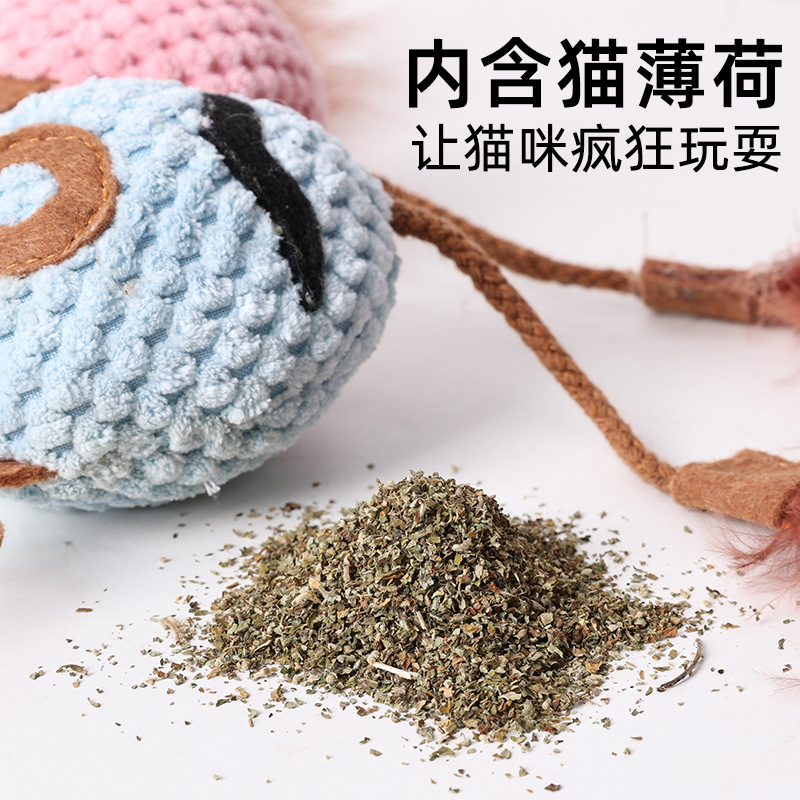 Cat toy for self-entertainment - Catnip Toys recensione e prezzo