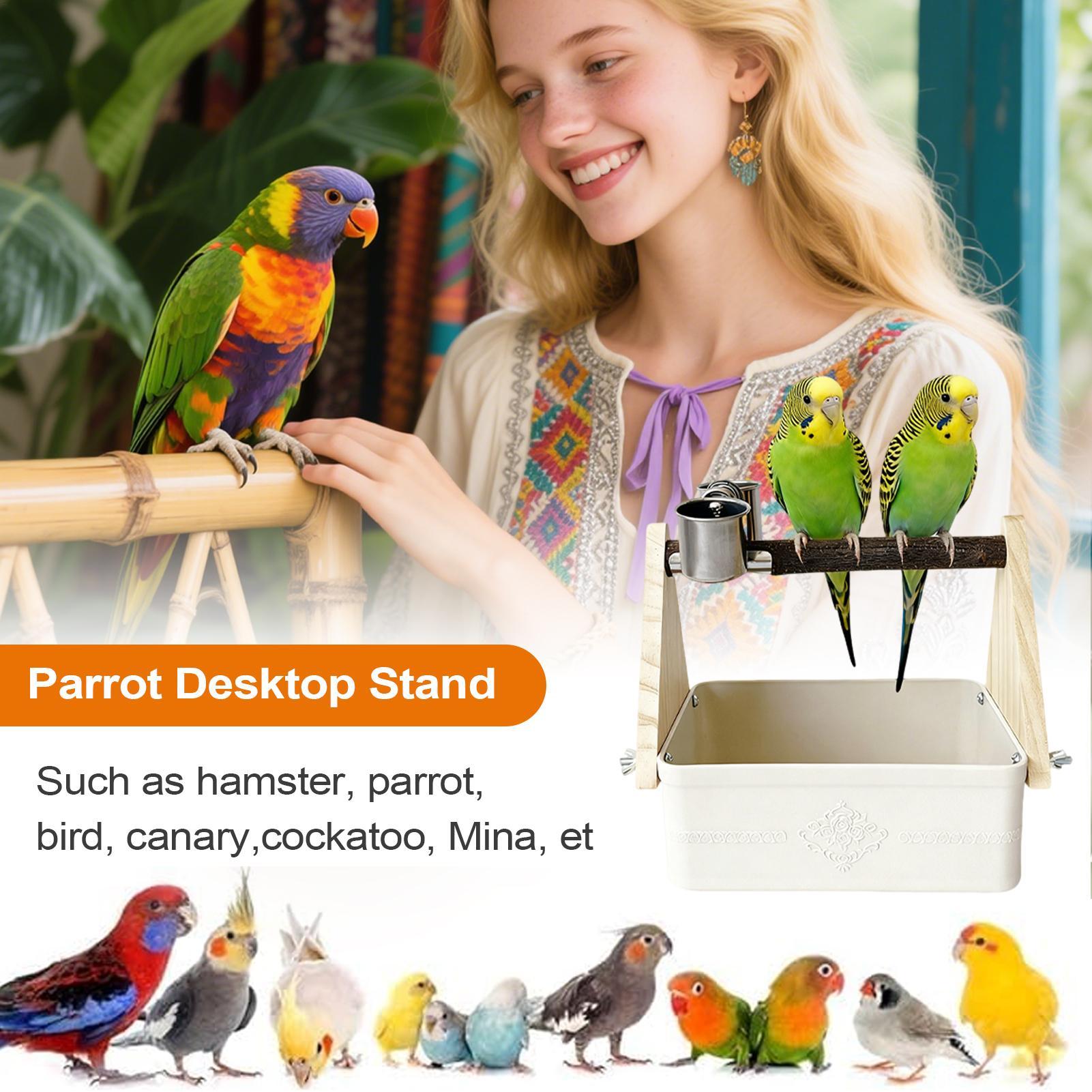 Bird Tabletop Perch Lovebirds  - Pet Supplies Zoo recensione e prezzo