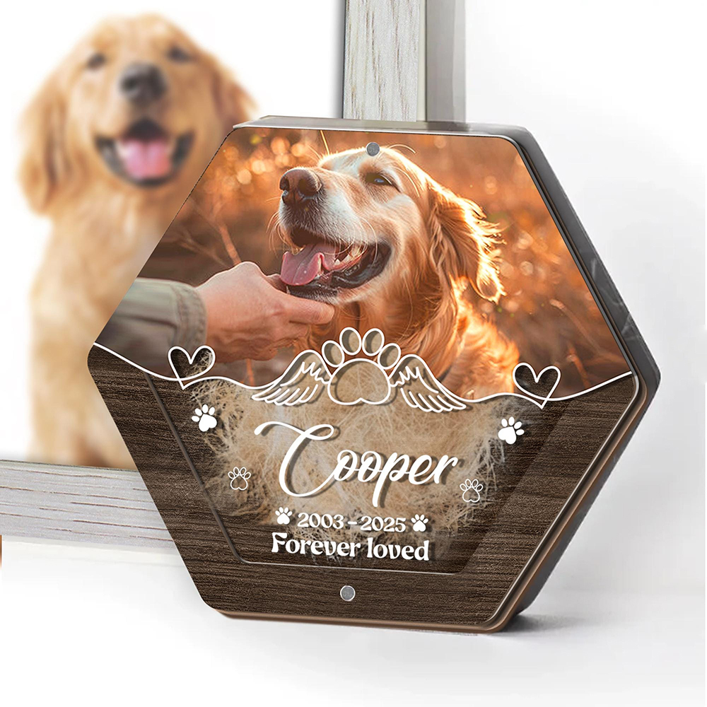 Personalized Name Wooden Carvi - Pet Supplies Discount recensione e prezzo