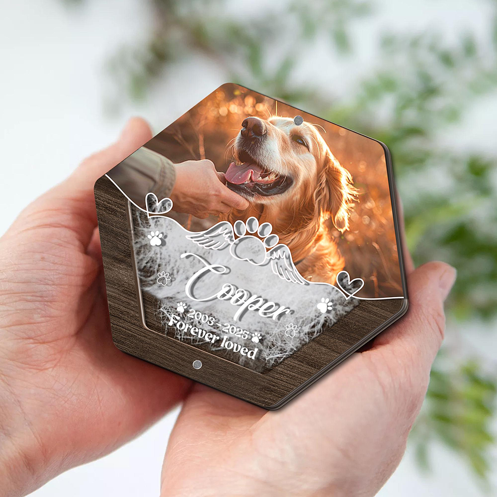 Personalized Name Wooden Carvi - Pet Supplies Discount recensione e prezzo