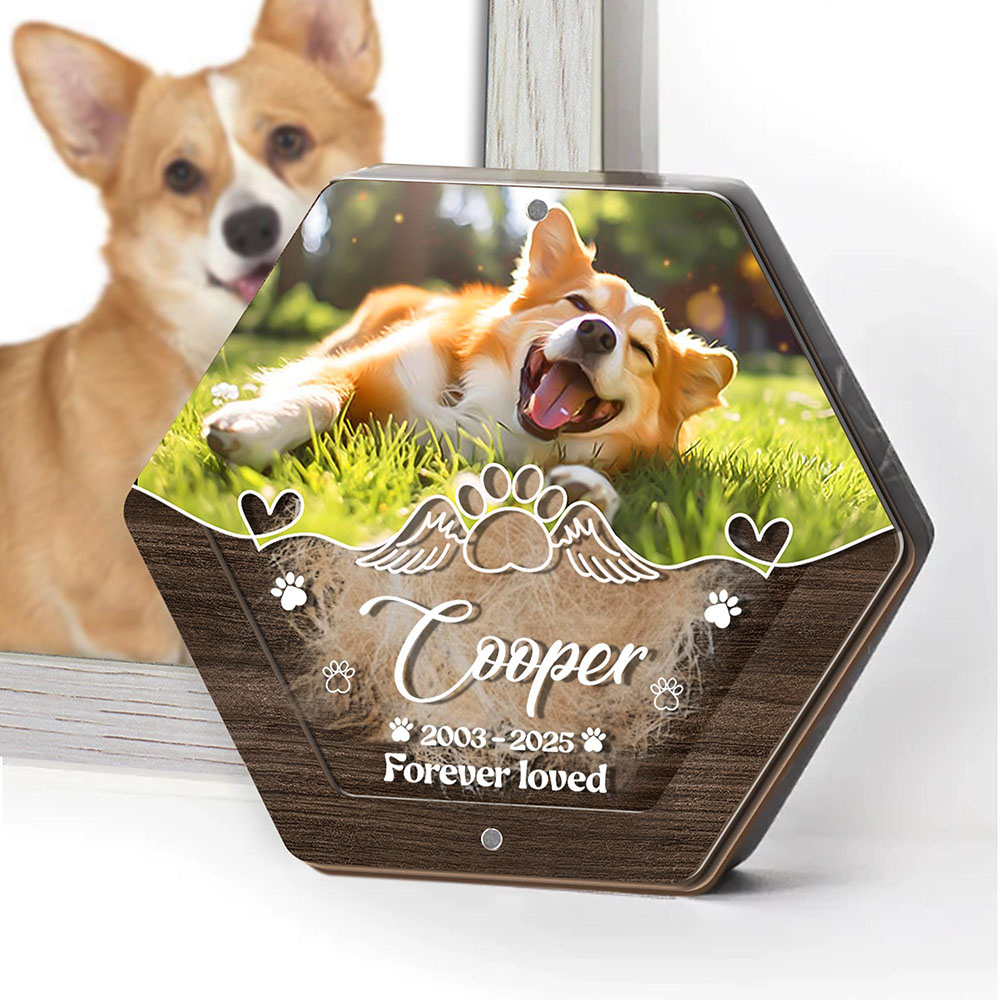 Personalized Name Wooden Carvi - Pet Supplies Discount recensione e prezzo