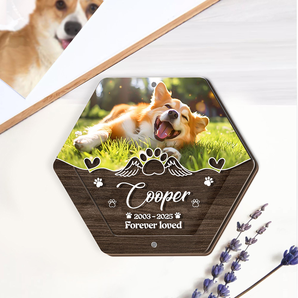 Personalized Name Wooden Carvi - Pet Supplies Discount recensione e prezzo