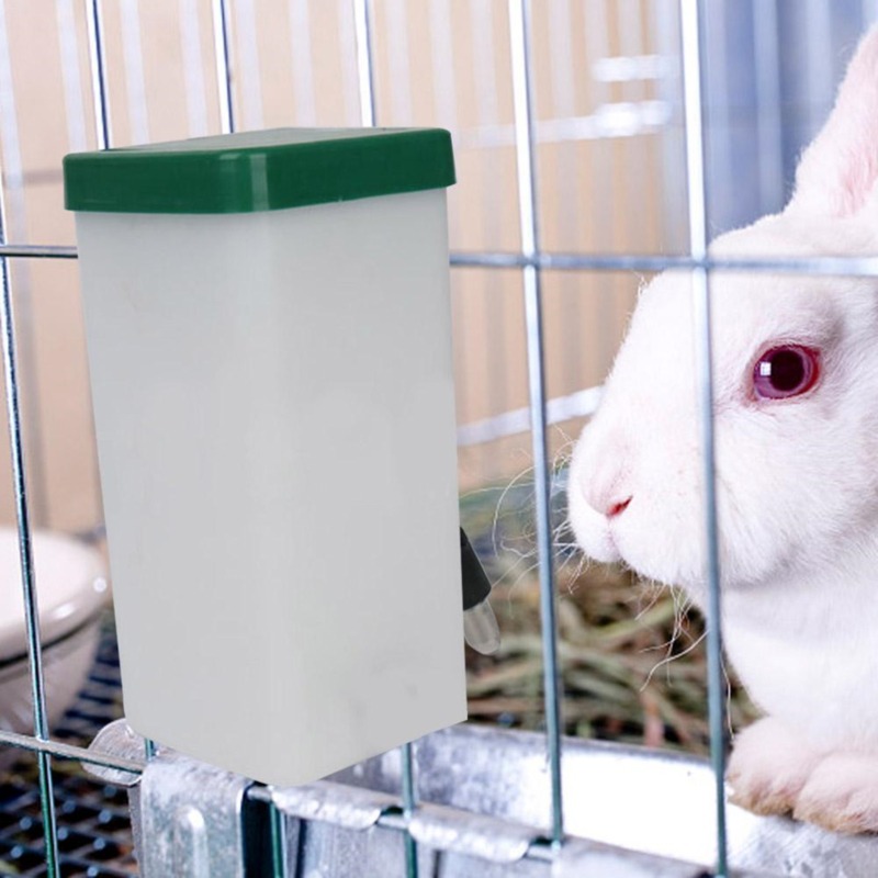 Creative Rabbit Water Dispense - Automatic Pet Feeder recensione e prezzo