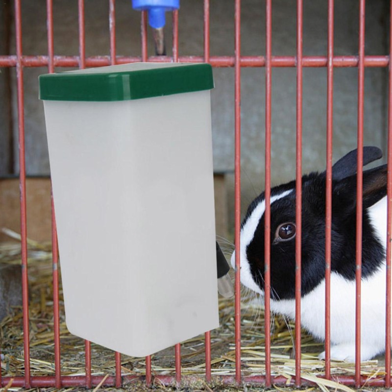 Creative Rabbit Water Dispense - Automatic Pet Feeder recensione e prezzo