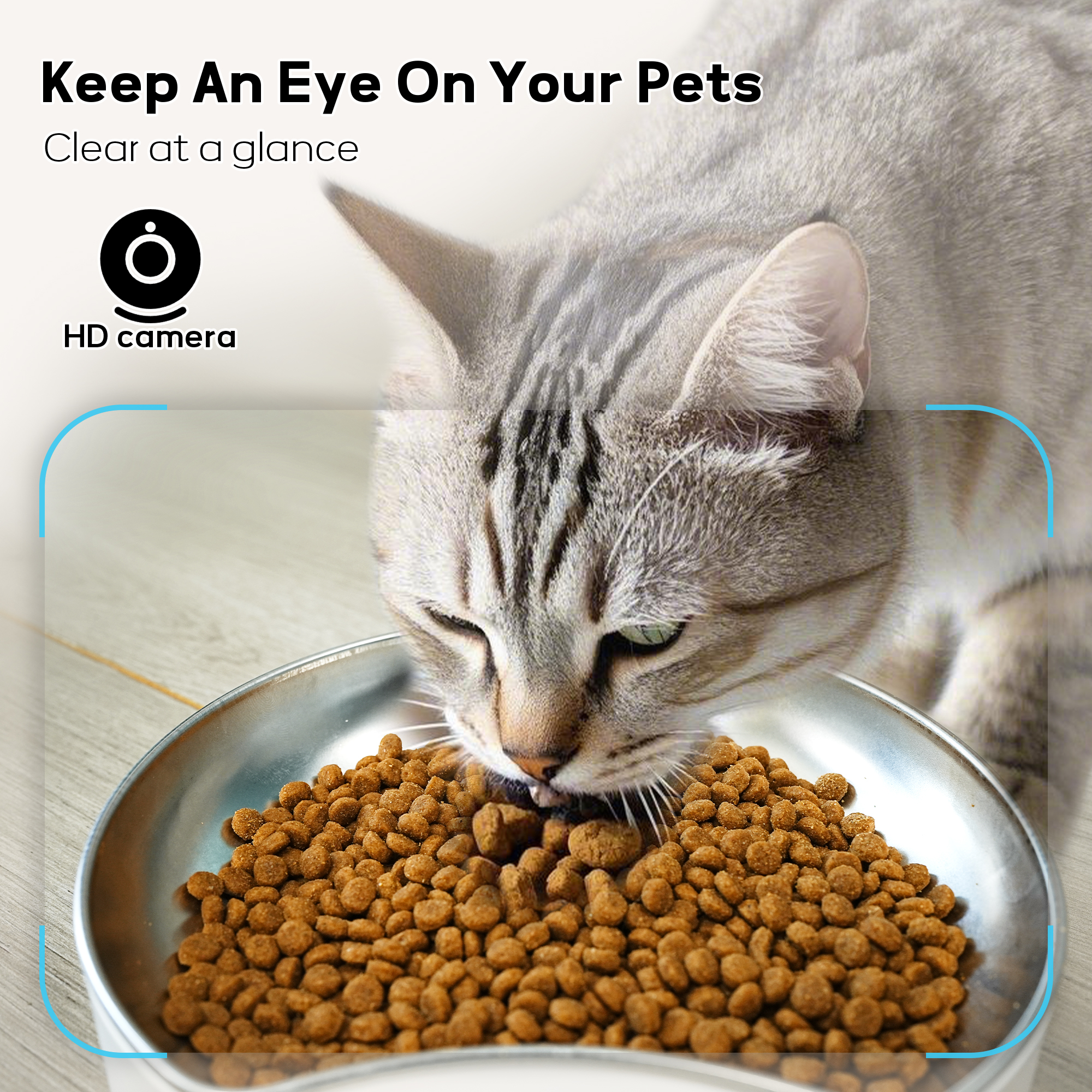 Automatic Cat Bowl Pet Feeder  - Automatic Pet Feeder recensione e prezzo
