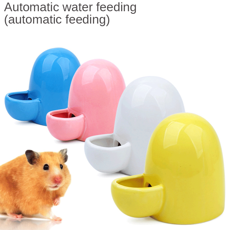 New Ceramic Pet Hamster Automa - Automatic Pet Feeder recensione e prezzo