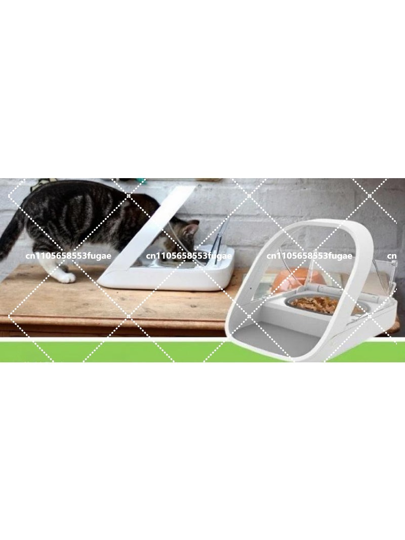 NEW  Chip Recognition Sensing  - Automatic Pet Feeder recensione e prezzo