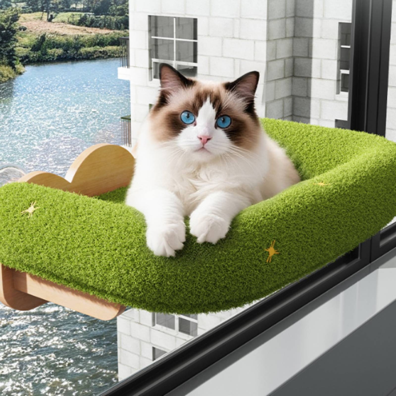 Cat Window Bed with Suction Cu - Cat Window Perch recensione e prezzo