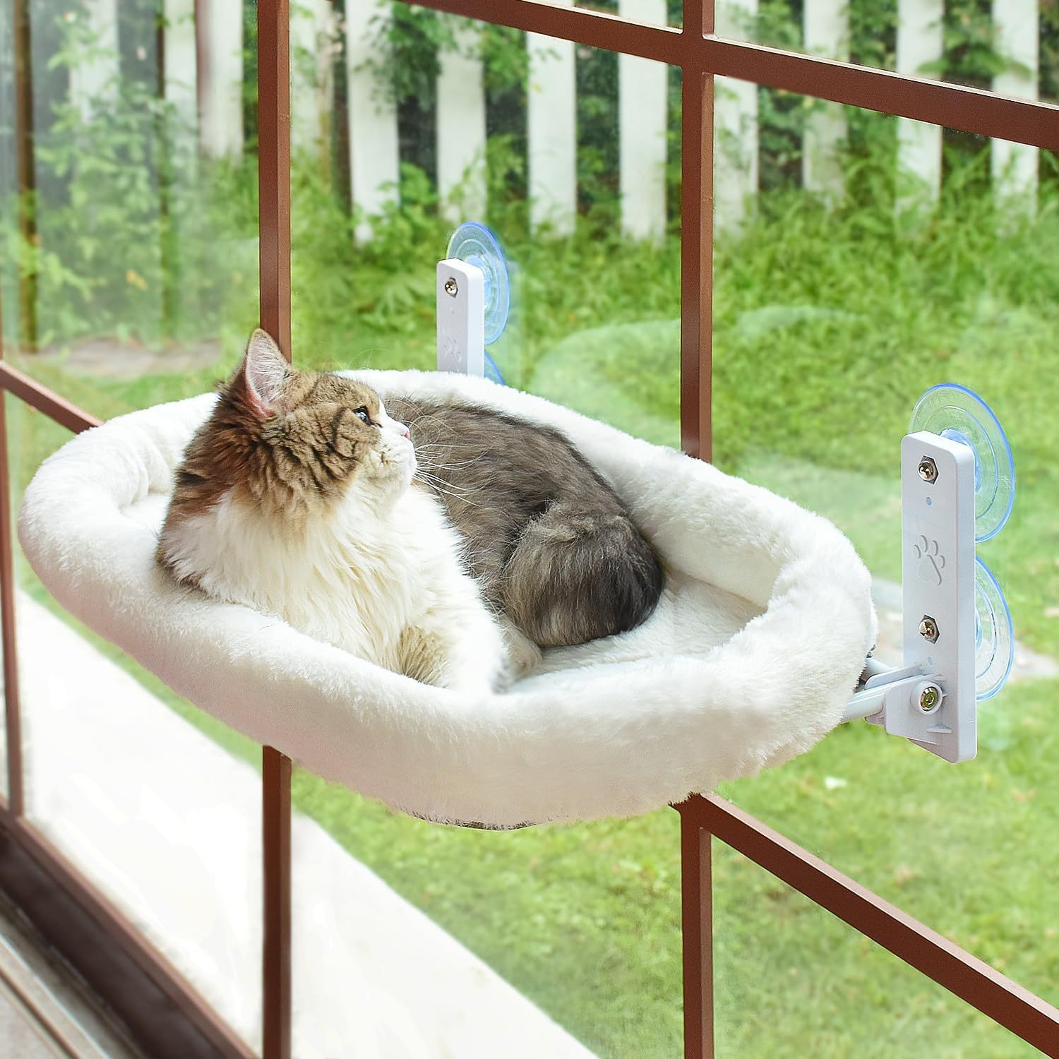 Cat Window Hammock Suction Cup - Cat Window Perch recensione e prezzo