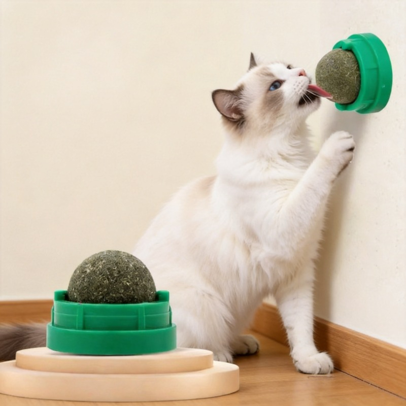 Pet Catnip Ball Cat Catnip Wal - Catnip Toys recensione e prezzo