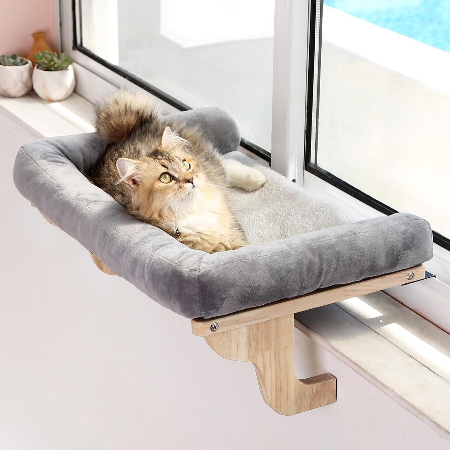 Cat Perch for Window Sill with - Cat Window Perch recensione e prezzo