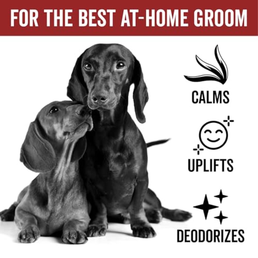PRIDE AND GROOM DogDays Deodor - Pet Cologne Spray recensione e prezzo