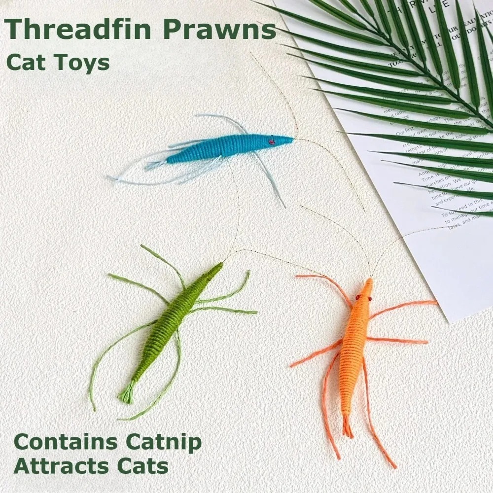 New Woolen Prawn Cat Toy Conta - Catnip Toys recensione e prezzo