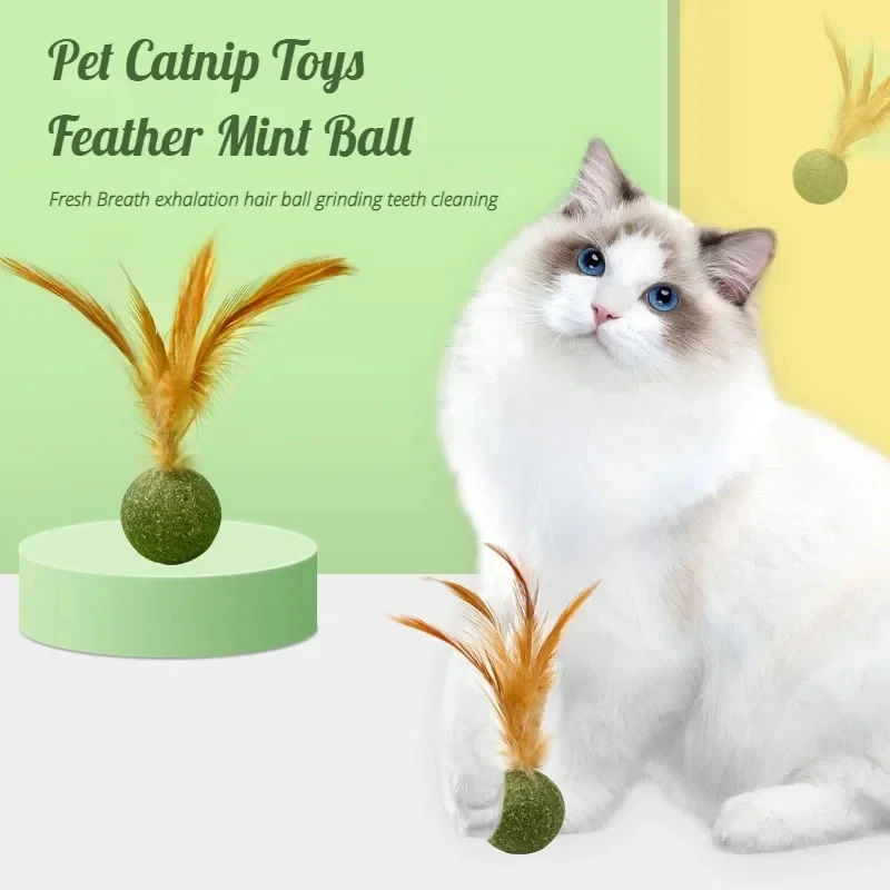 Pet Catnip Toys Edible Catnip  - Catnip Toys recensione e prezzo