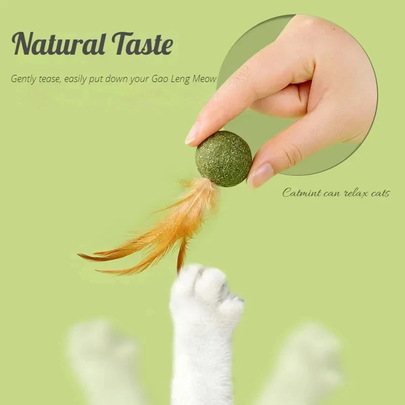 Pet Catnip Toys Edible Catnip  - Catnip Toys recensione e prezzo