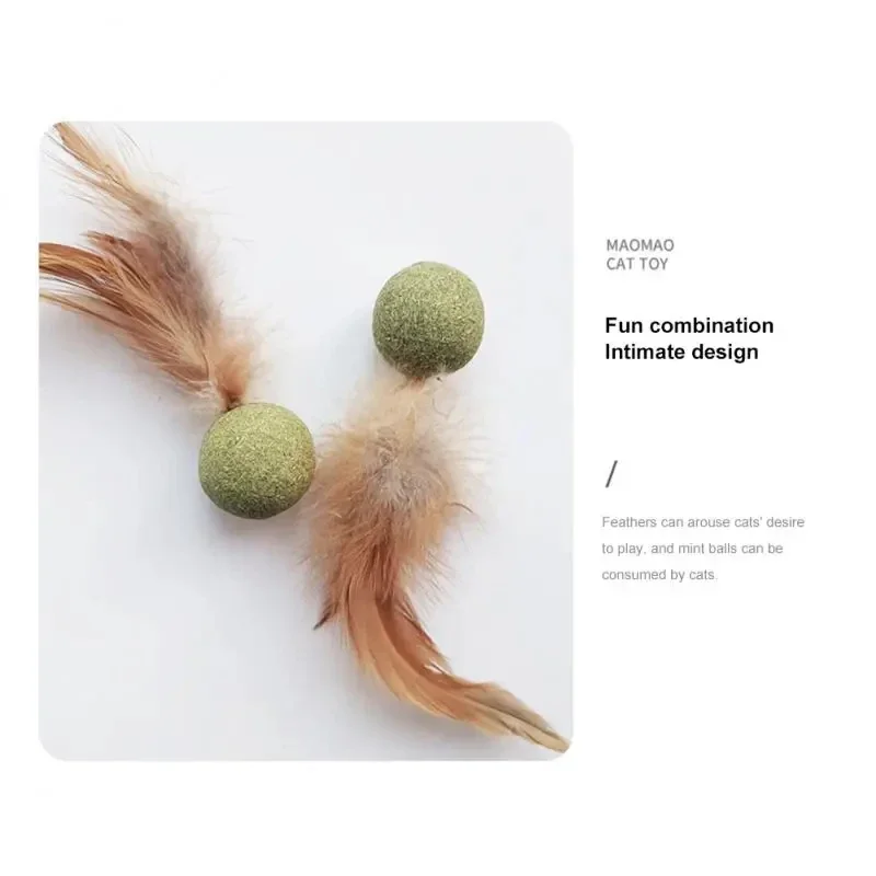 Pet Catnip Toys Edible Catnip  - Catnip Toys recensione e prezzo
