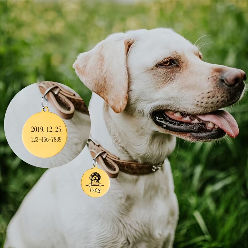 Custom Pet Name Puppy Anti-los - Pet Supplies Discount recensione e prezzo