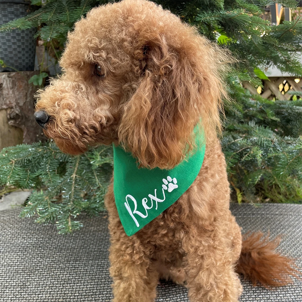 Personalized name Dog Christma - Pet Supplies Discount recensione e prezzo