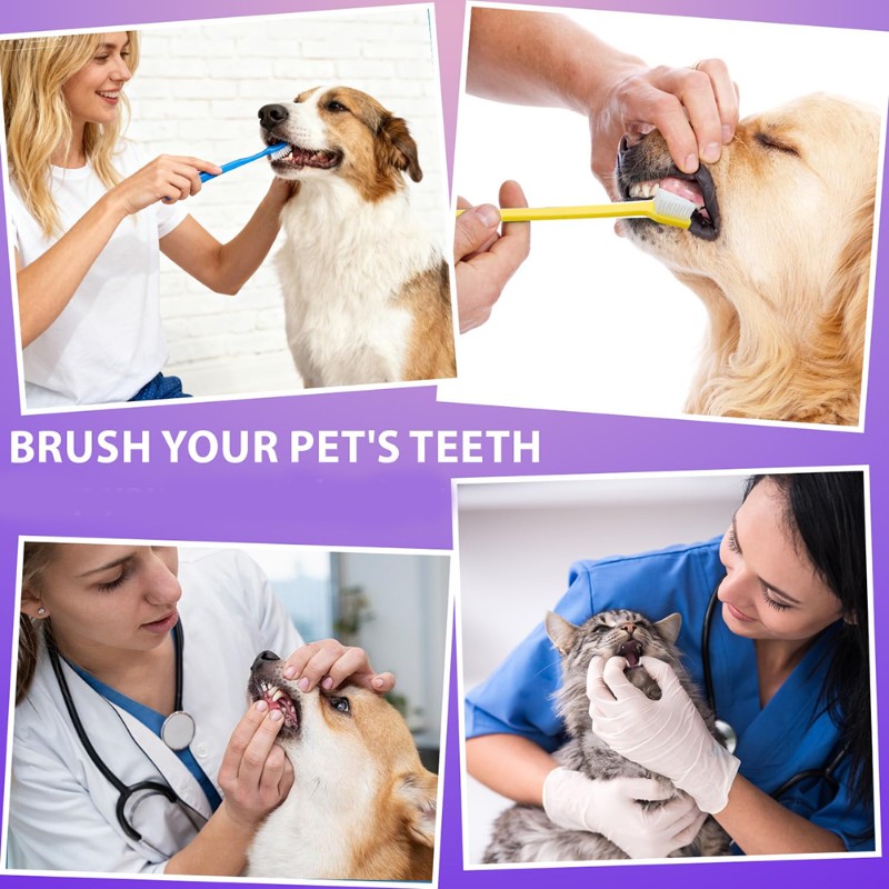 AB66-Dog Oral Hygiene Tool- 60 - Dog Paw Cleaner recensione e prezzo