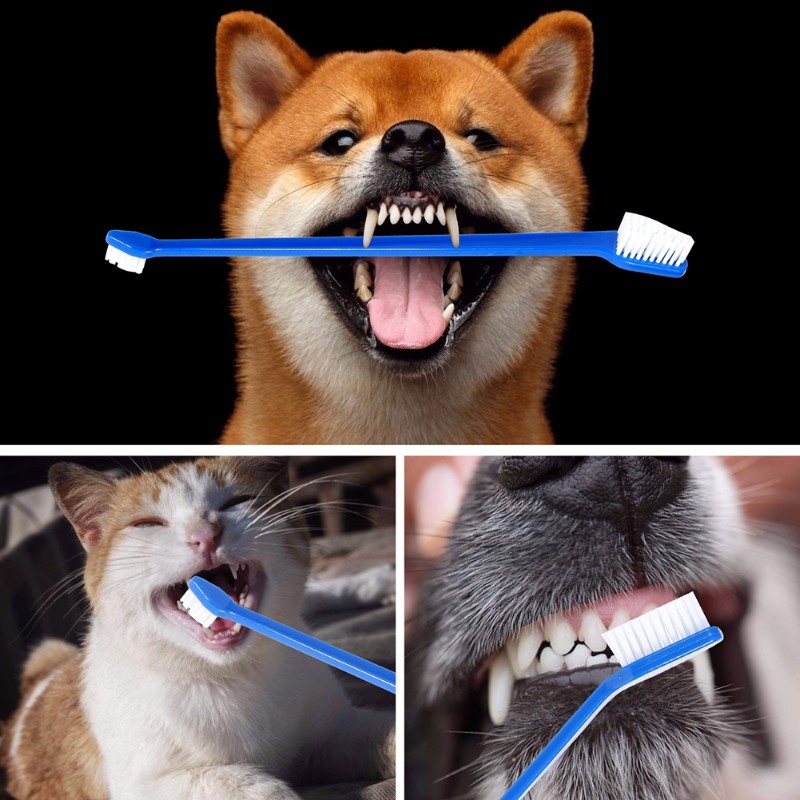 AB66-Dog Oral Hygiene Tool- 60 - Dog Paw Cleaner recensione e prezzo