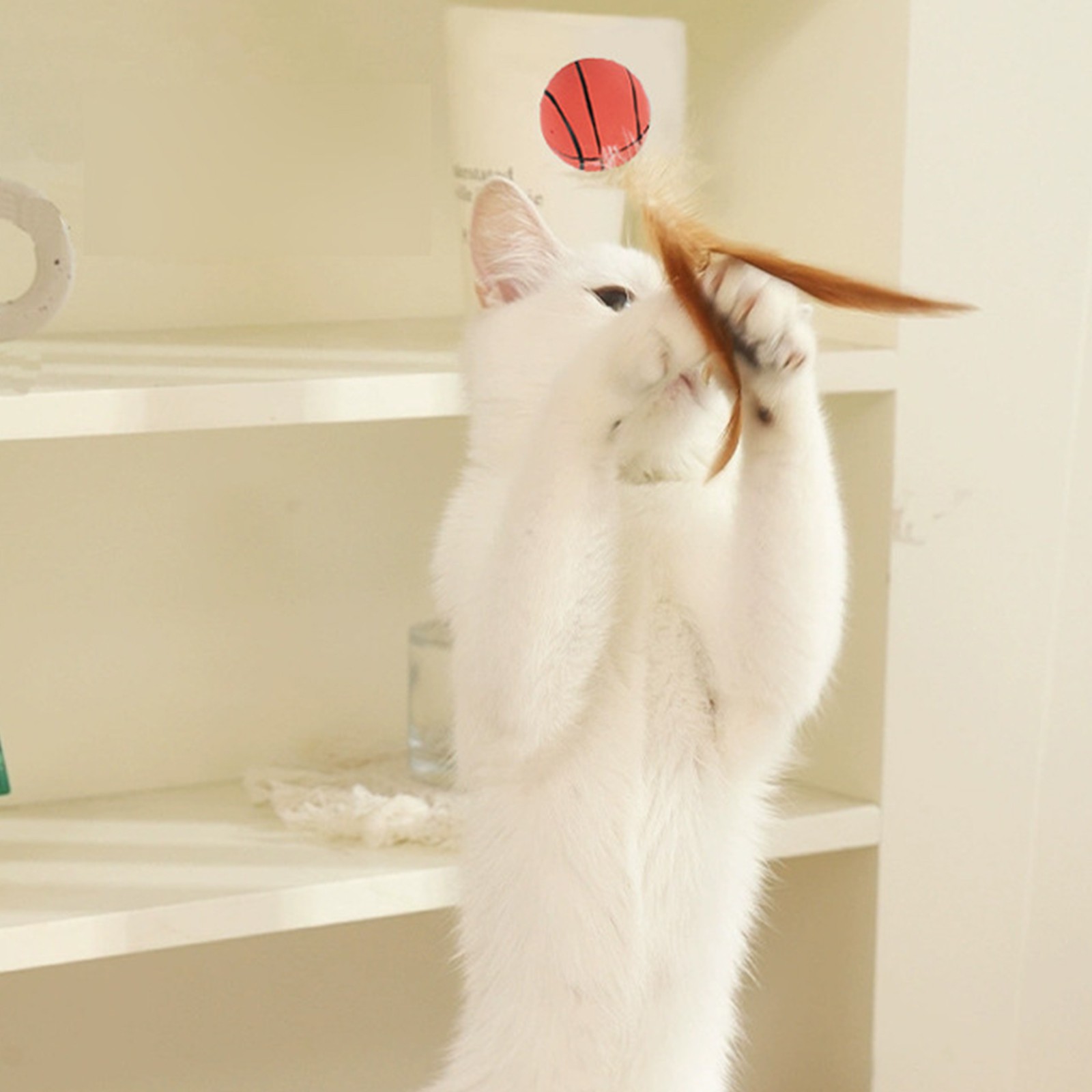 Cat Feather Ball Toys Interact - Catnip Toys recensione e prezzo