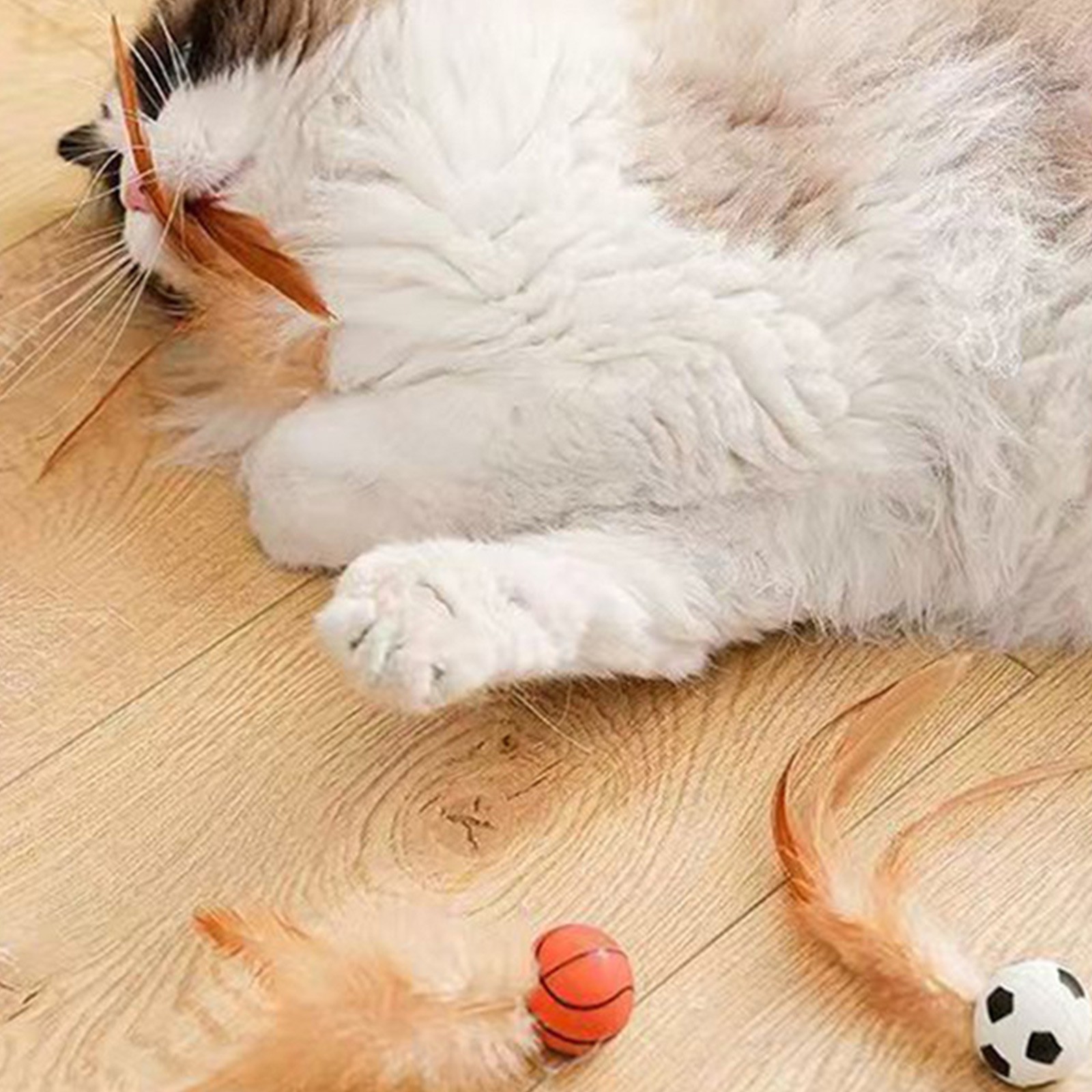 Cat Feather Ball Toys Interact - Catnip Toys recensione e prezzo