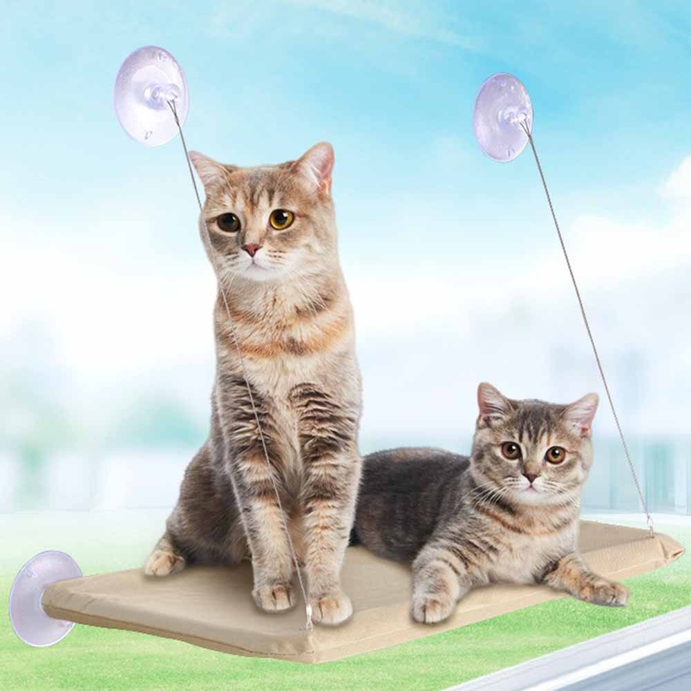 Pet Nest Creative Cat Hanging  - Cat Window Perch recensione e prezzo