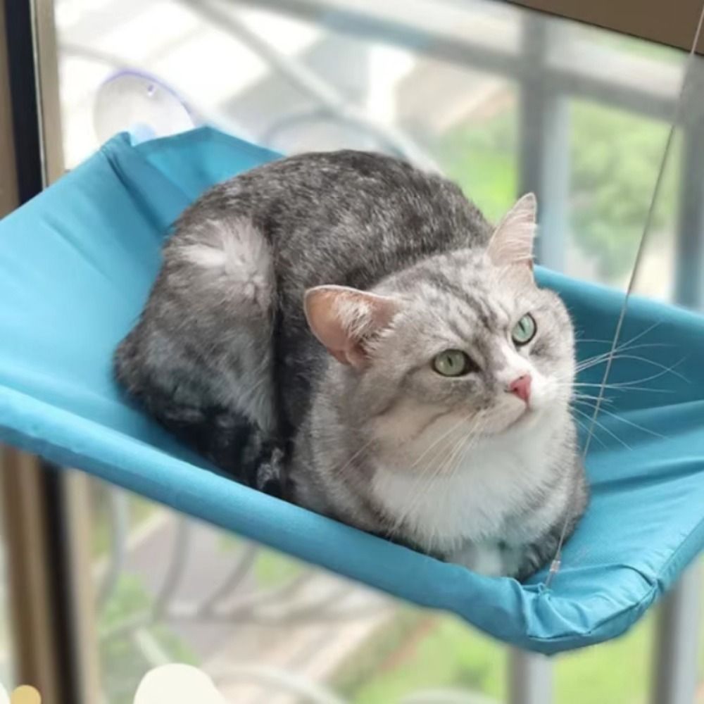Pet Nest Creative Cat Hanging  - Cat Window Perch recensione e prezzo