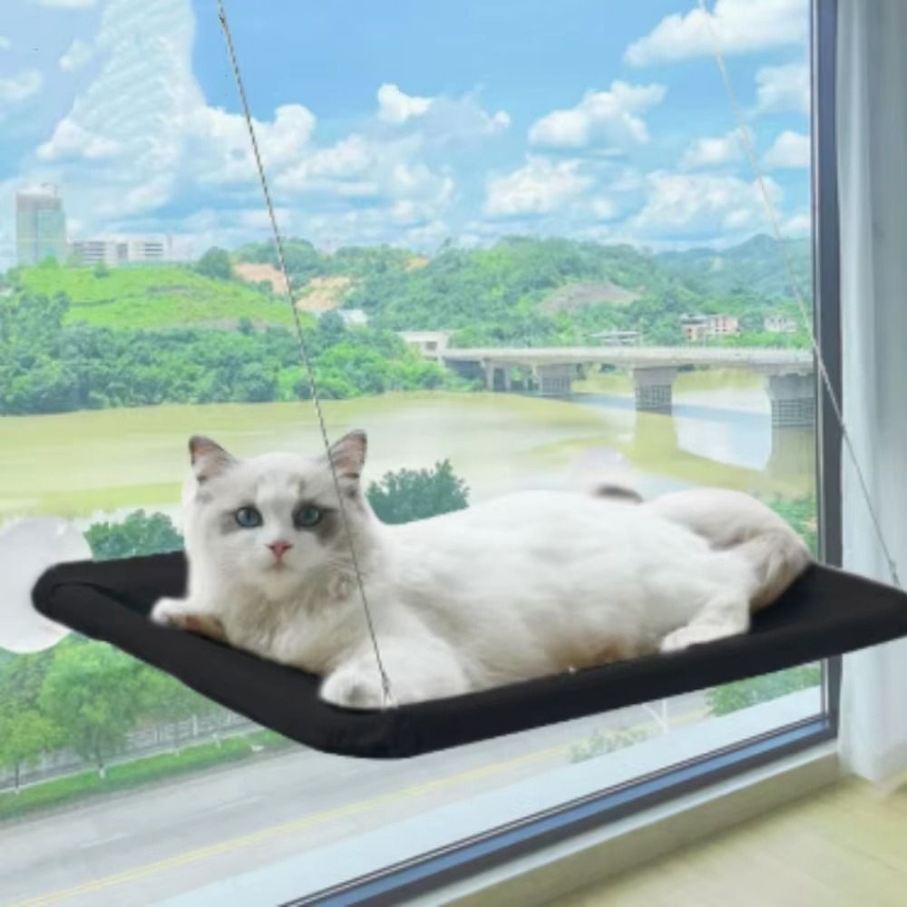 Pet Nest Creative Cat Hanging  - Cat Window Perch recensione e prezzo